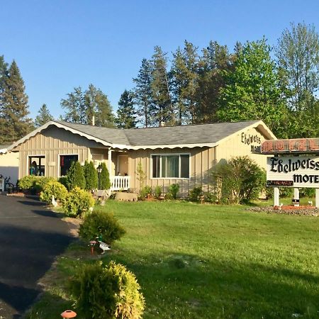 Edelweiss Motel Hayward Buitenkant foto