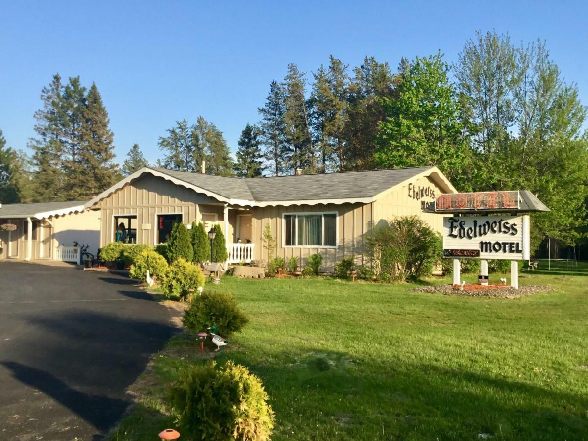 Edelweiss Motel Hayward Buitenkant foto